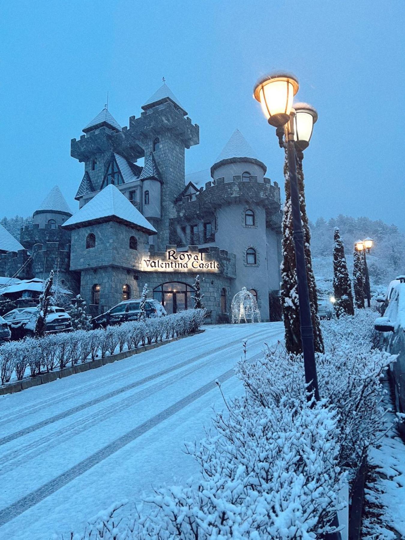 Bed and Breakfast Royal Valentina Castle Огняново Экстерьер фото